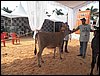 100_6227.JPG