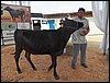 100_6229.JPG