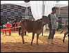 100_6231.JPG