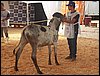 100_6232.JPG