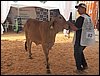 100_6236.JPG