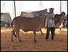 100_6238.JPG