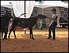 100_6240.JPG