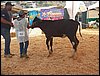 100_6241.JPG