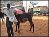 100_6242.JPG