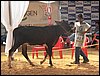 100_6243.JPG