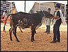 100_6245.JPG