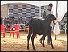 100_6249.JPG