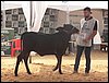 100_6250.JPG