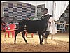 100_6251.JPG