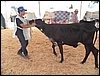 100_6254.JPG