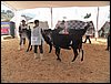 100_6257.JPG