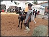 100_6260.JPG
