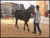100_6267.JPG