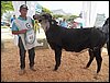 100_6269.JPG