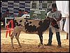 100_6273.JPG