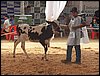 100_6275.JPG