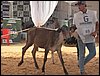 100_6276.JPG