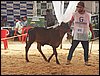 100_6277.JPG