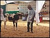 100_6278.JPG