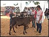 100_6279.JPG