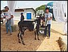 100_6280.JPG