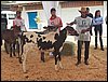 100_6282.JPG