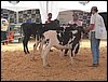 100_6287.JPG
