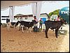 100_6289.JPG