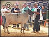 100_6293.JPG