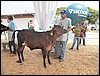 100_6297.JPG