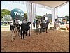 100_6298.JPG