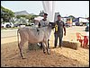 100_6299.JPG