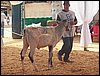 100_6306.JPG