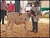 100_6307.JPG