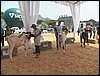 100_6308.JPG