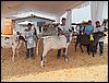 100_6309.JPG