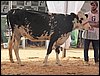 100_6310.JPG