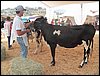 100_6313.JPG