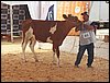 100_6315.JPG