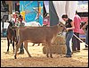 100_6316.JPG
