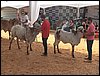 100_6318.JPG