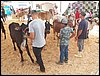 100_6320.JPG