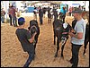 100_6321.JPG