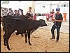 100_6324.JPG