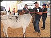 100_6325.JPG
