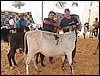 100_6326.JPG