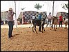 100_6328.JPG