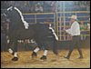 101_0210.JPG