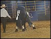 101_0214.JPG